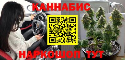 шишки Будённовск