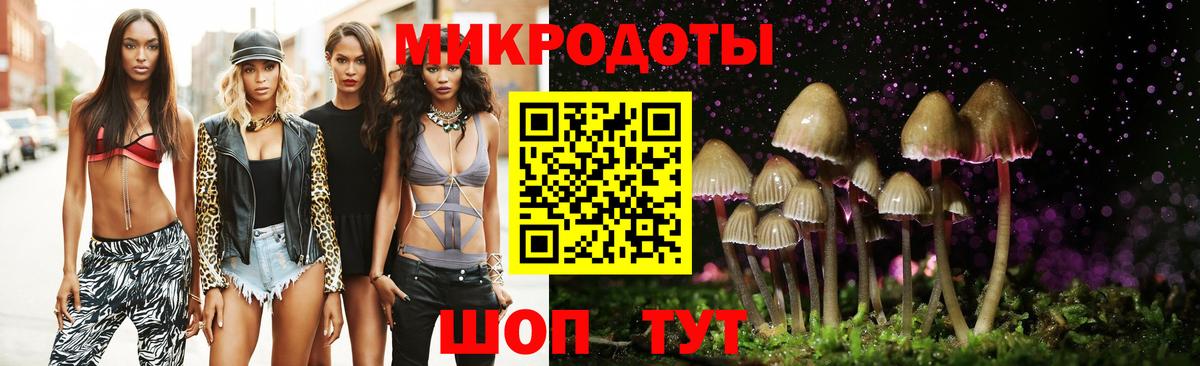 Галлюциногенные грибы прущие грибы Тихвин