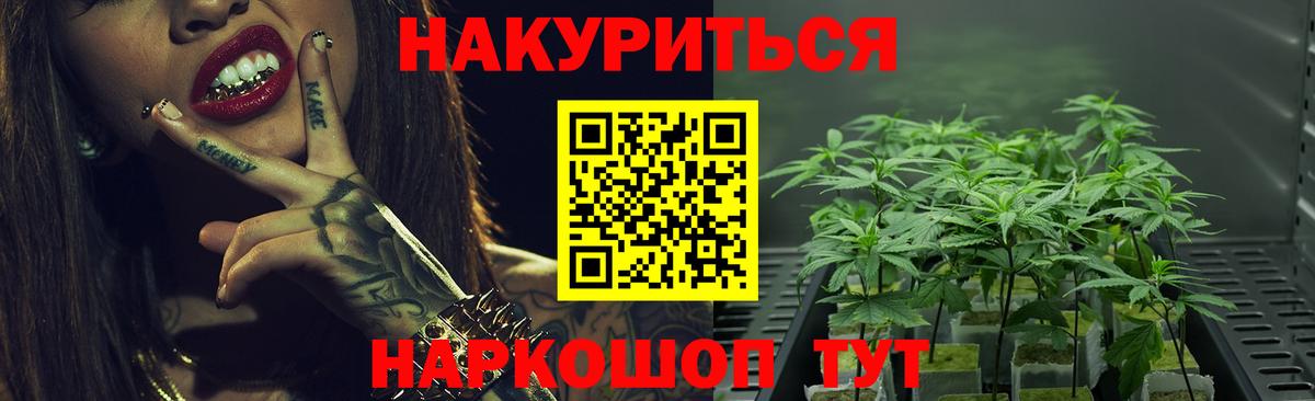 Тихвин  Каннабис сатива  Вход с VPN  Бошки Шишки марихуана  Каннабис планчик 