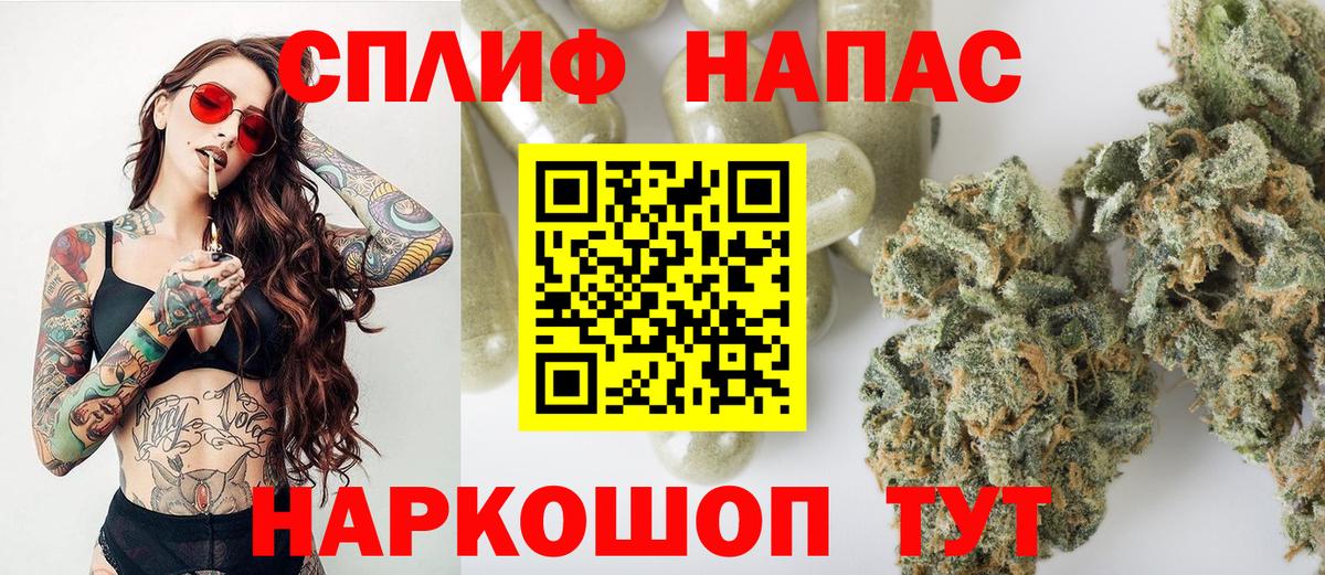 Конопля гибрид Тихвин